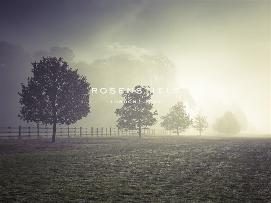 Mystical Rows - Assaf Frank