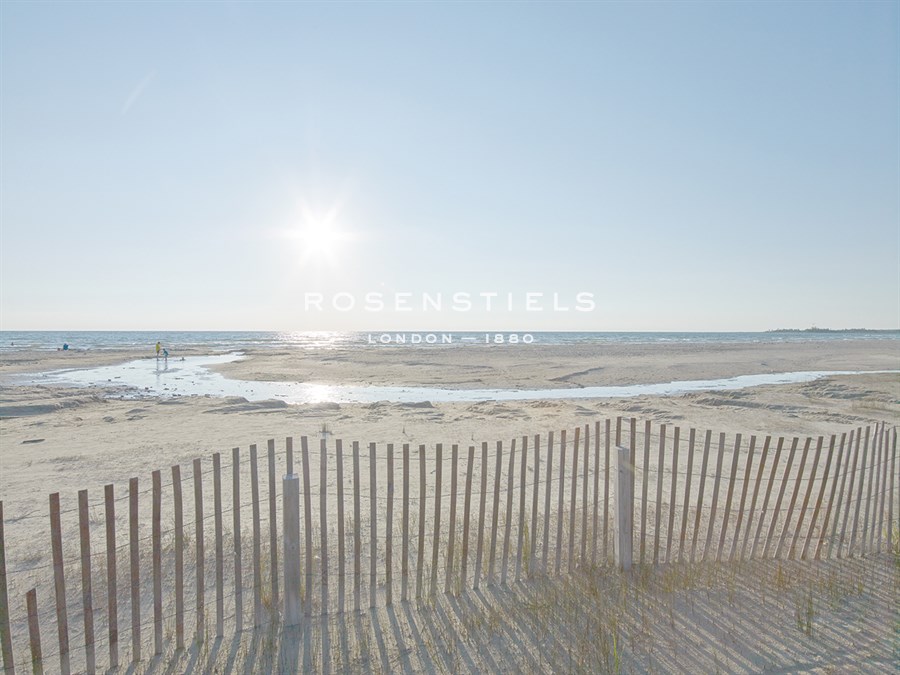 Beach Play - Mike Toy