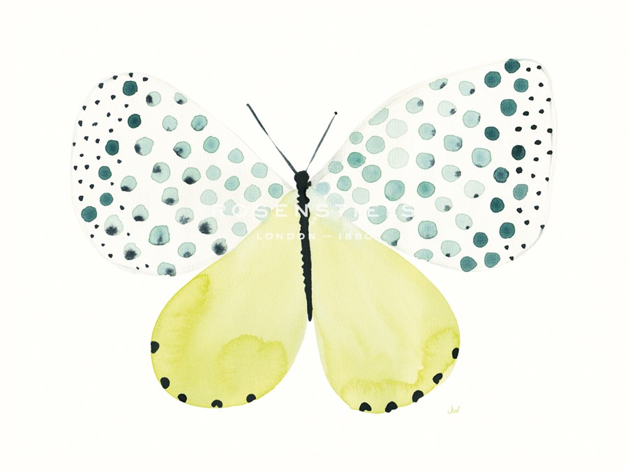 Flutterby Dapple - Joelle Wehkamp