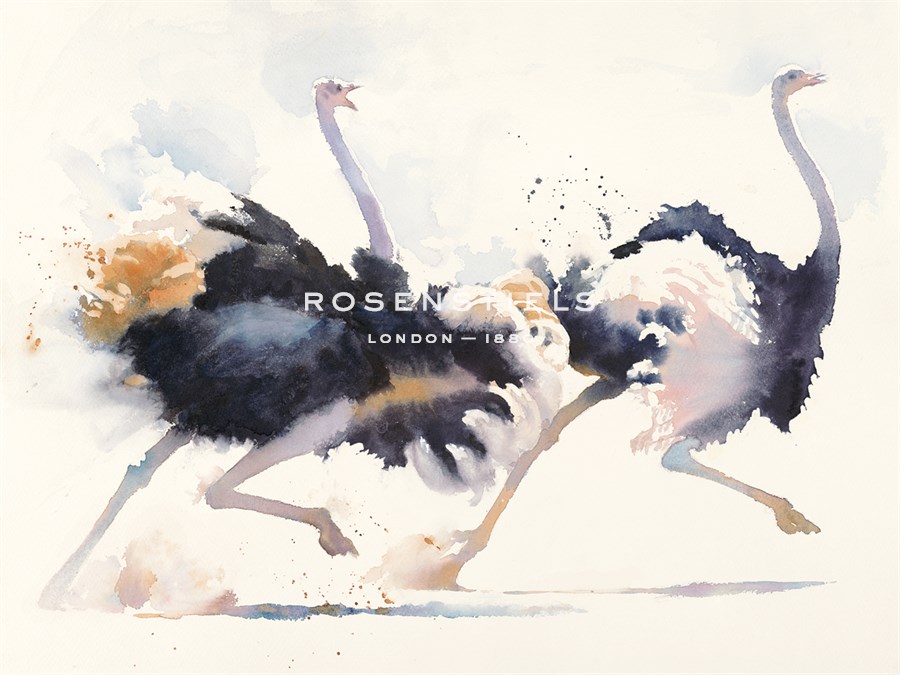 In a Hurry - Hazel Soan