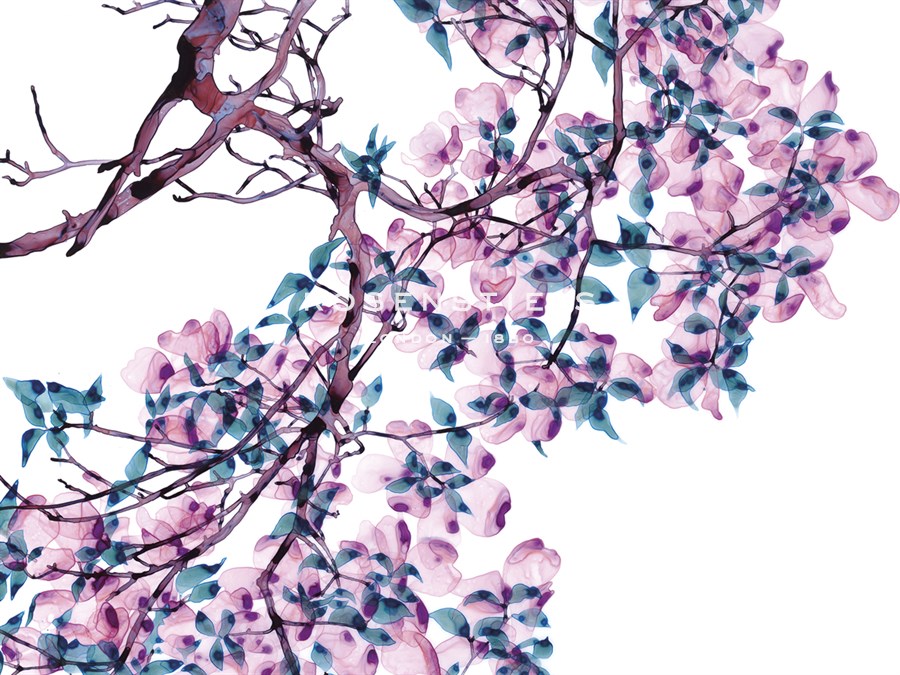 Tickled Pink - Jackie Battenfield