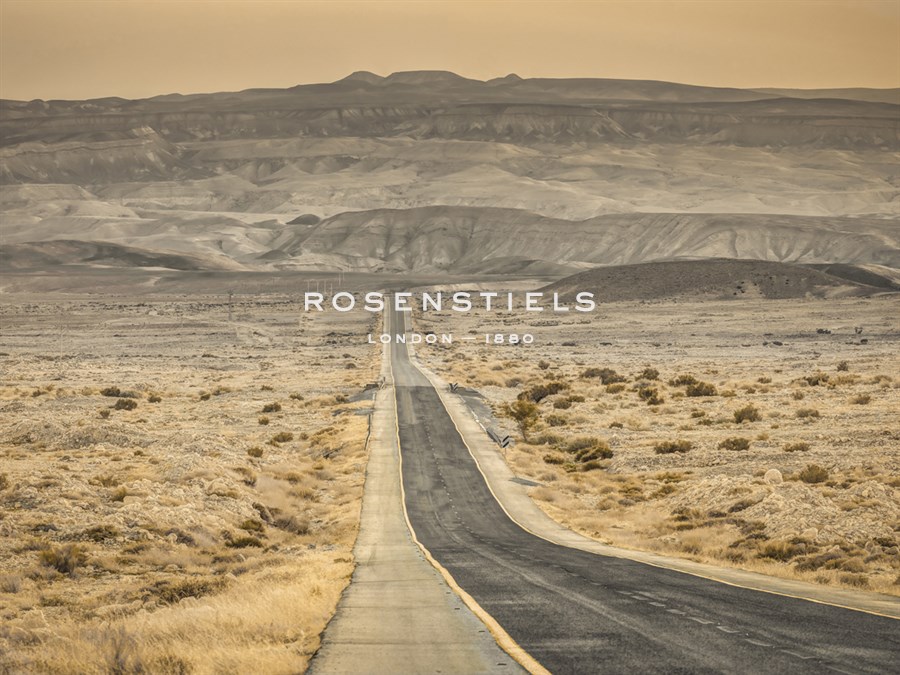 Journey Onwards - Assaf Frank