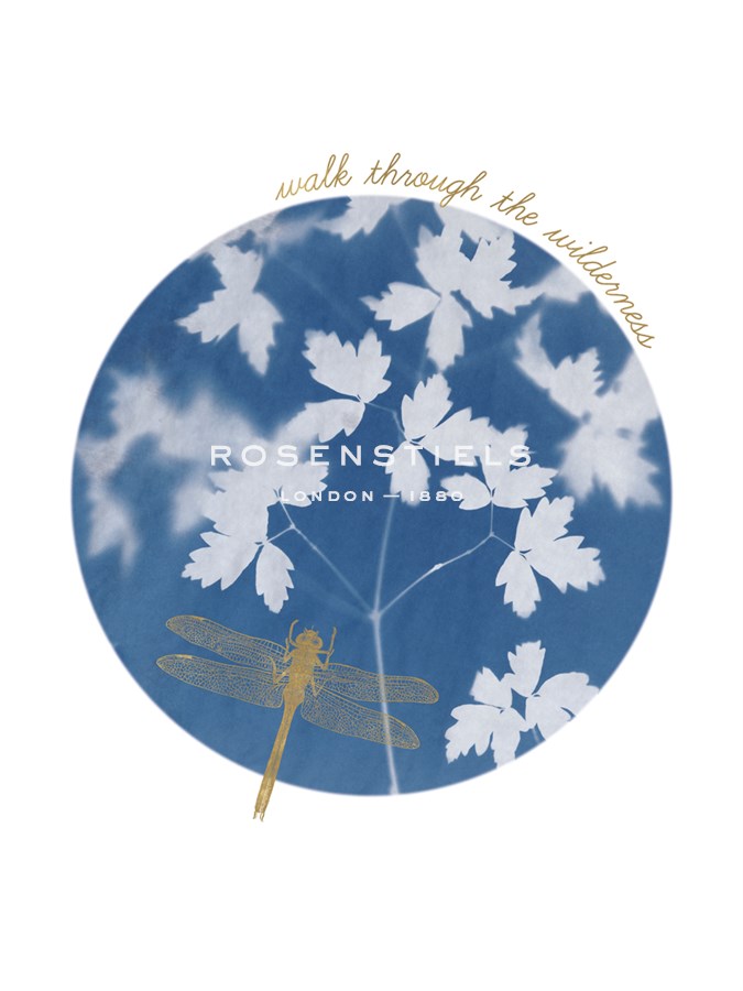 Spray Wild - Sarah Cheyne