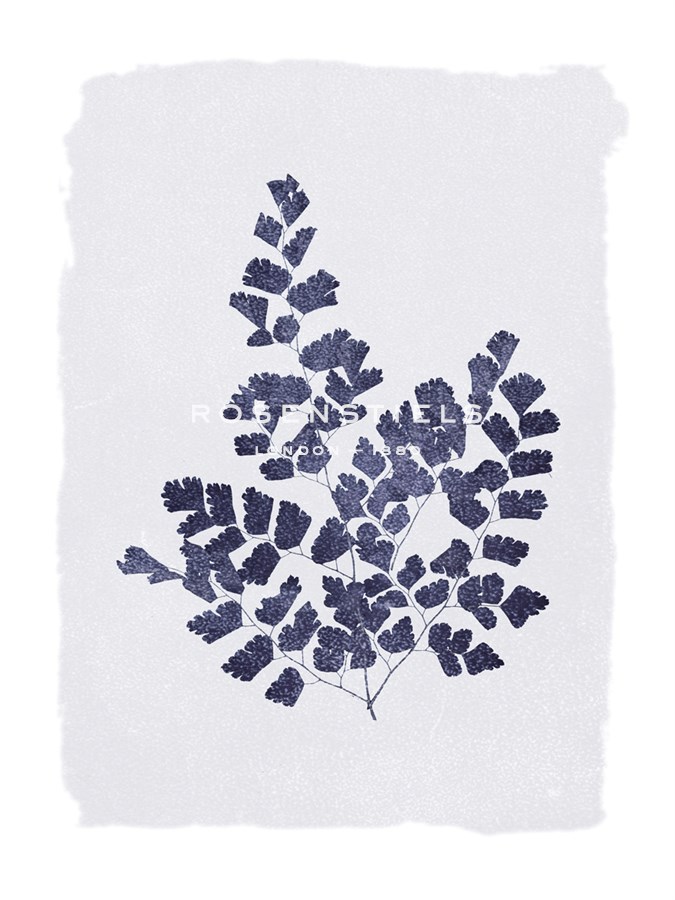 Ink Leaves - The Vintage Collection