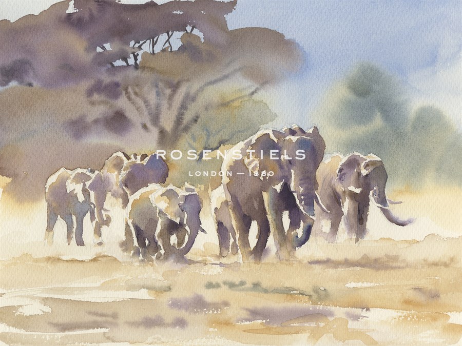 The Herd - Hazel Soan