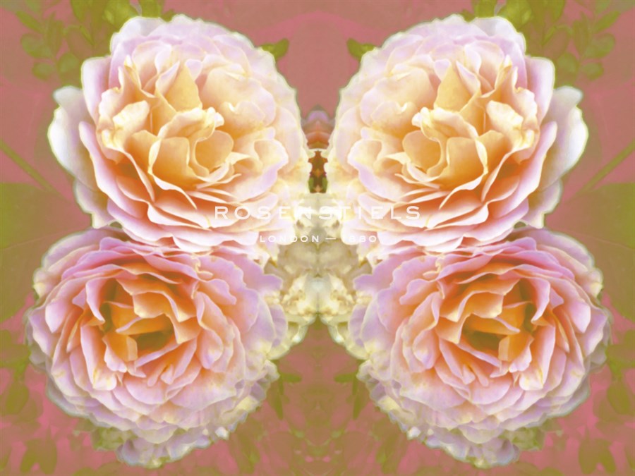 Botanique Joy - Collezione Botanica