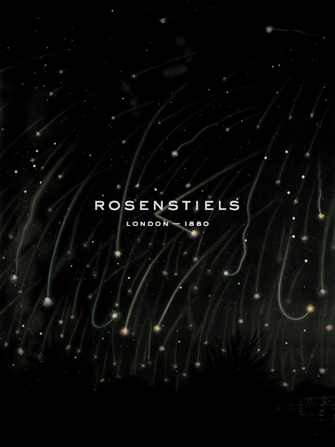 The November Meteors - Etienne Leopold Trouvelot