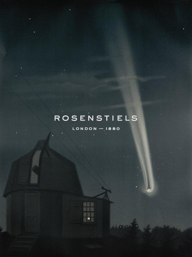 The Great Comet of 1881 - Etienne Leopold Trouvelot