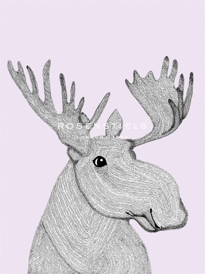 Linear Friends - Moose - Virginia Kraljevic