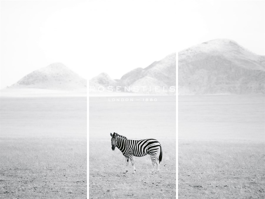 Roaming Free - Trio - Lee Frost