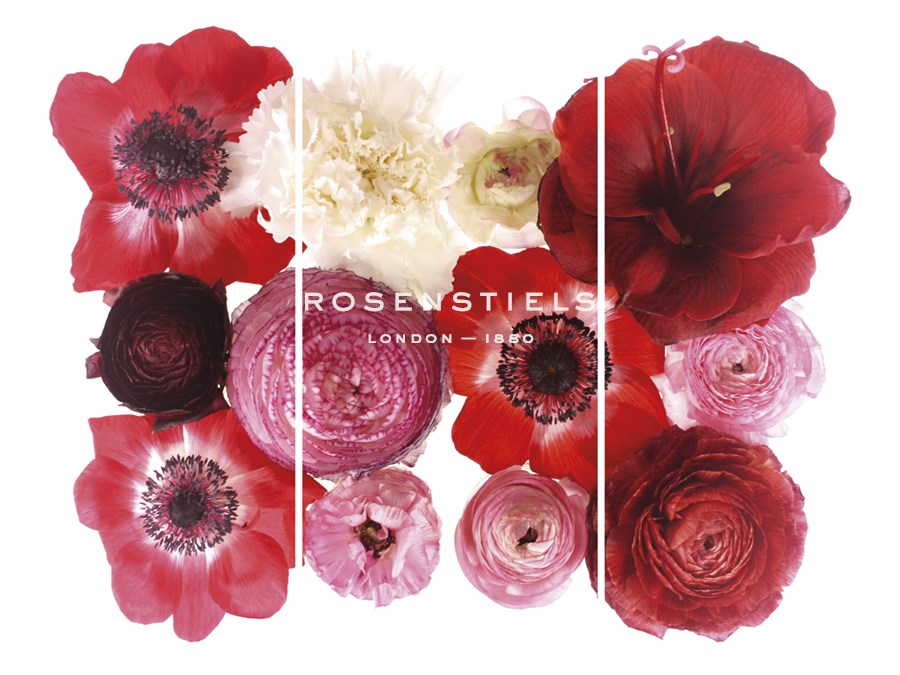 Floral Cluster - Trio - Katja Marzahn