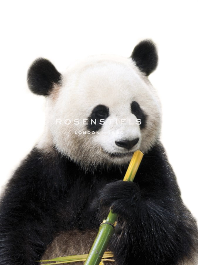 Chengdu - Contemporary Photography