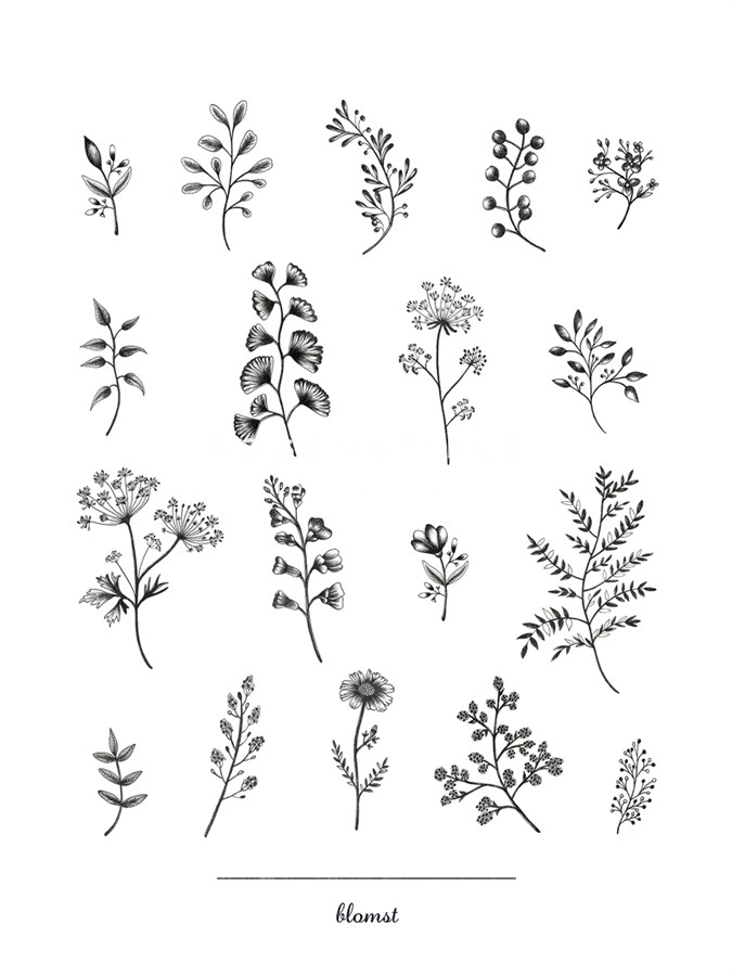 Herbarium Blomst - Lucy Francis