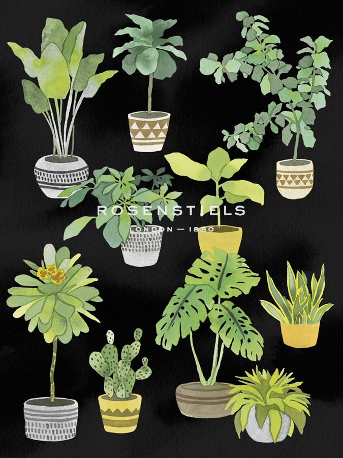Botanica Medley - Kristine Hegre