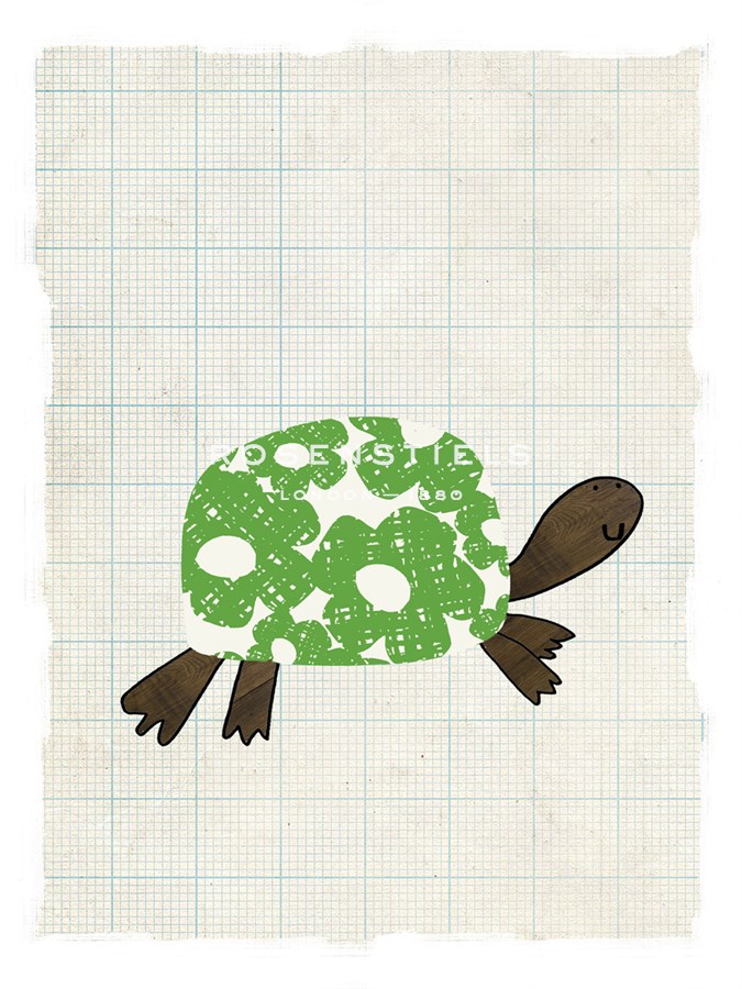 Tiny Turtle - Lisa Stickley
