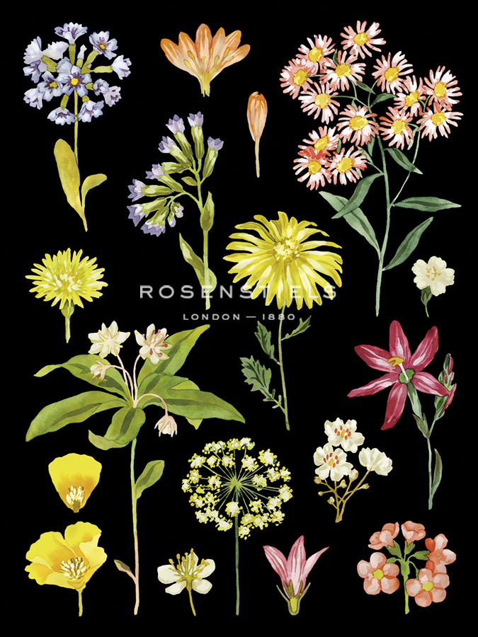 Flower Press - Kristine Hegre