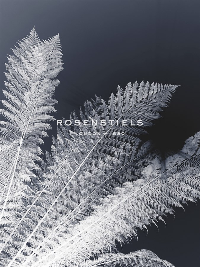 Tropical Palm Duo - Ella Lancaster