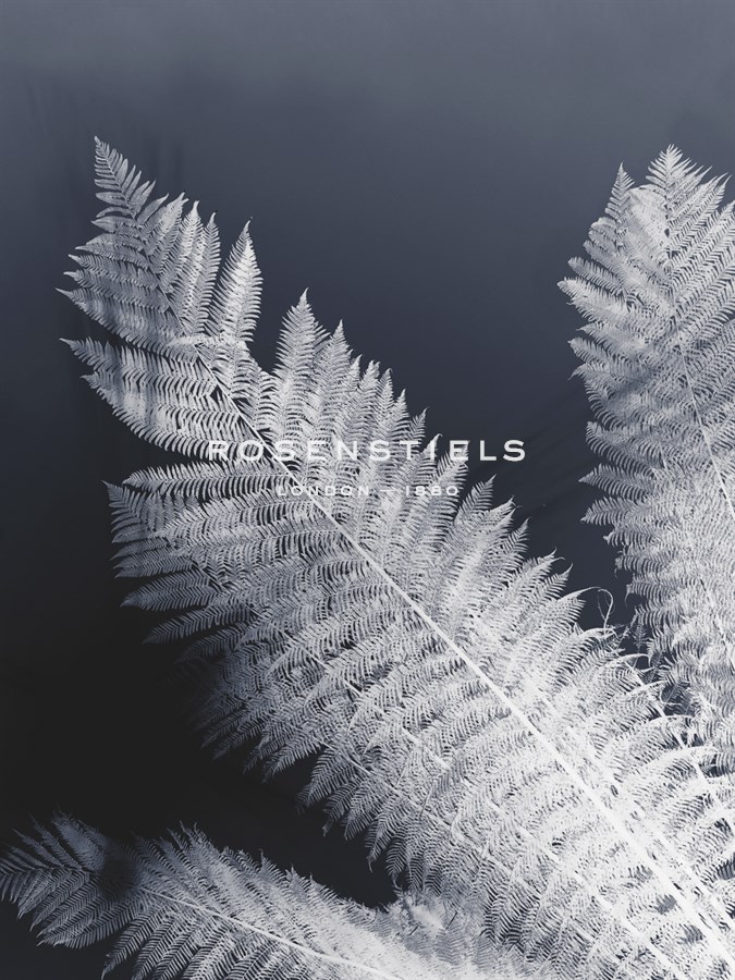 Tropical Palm Duet - Ella Lancaster