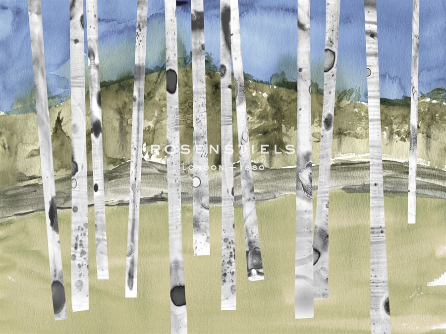 Birch Trail - Midori Greyson