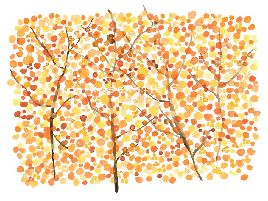 Fall-Blooming - Sarah Von Dreele