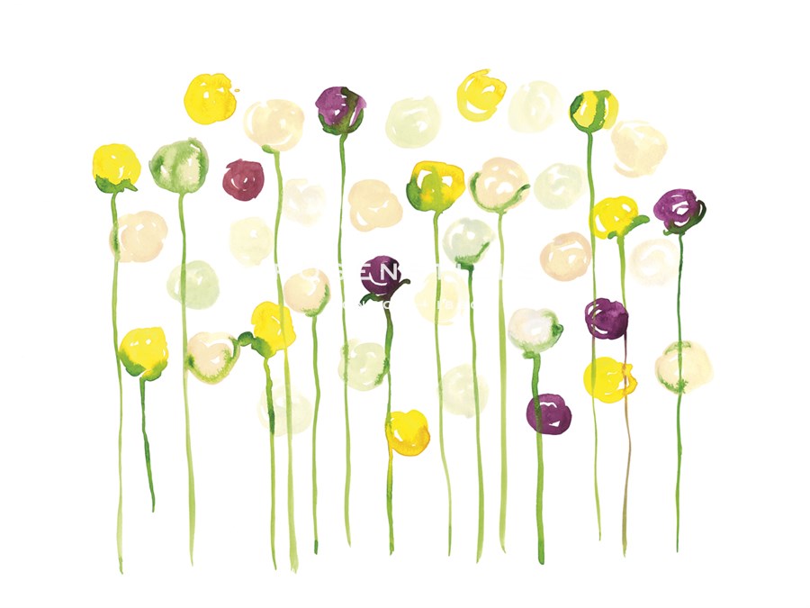 Dainty Buds - Sarah Von Dreele