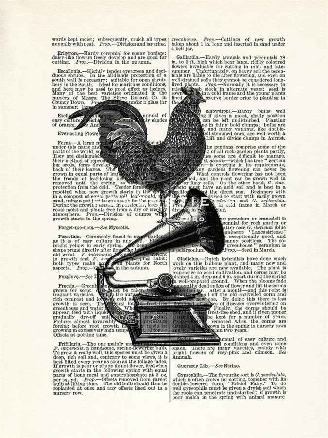 Wake Up Call - The Vintage Collection