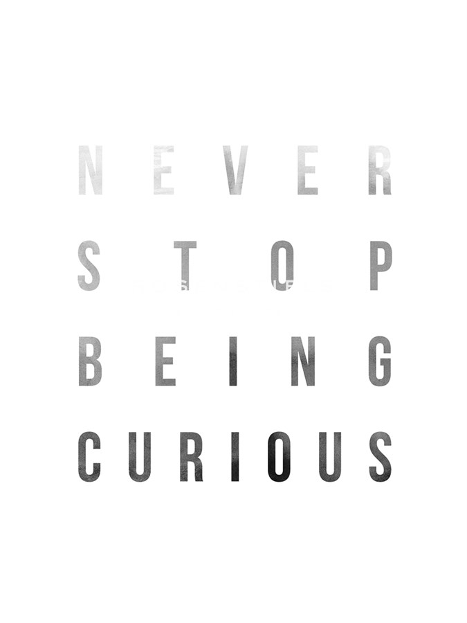 Be Curious - Joni Whyte
