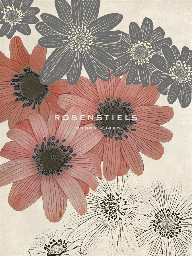 Anemone Art - Belle Poesia