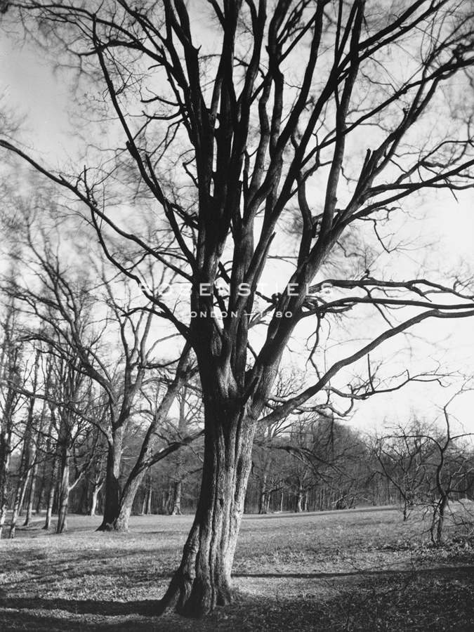 Environs of Paris - Eugene Atget