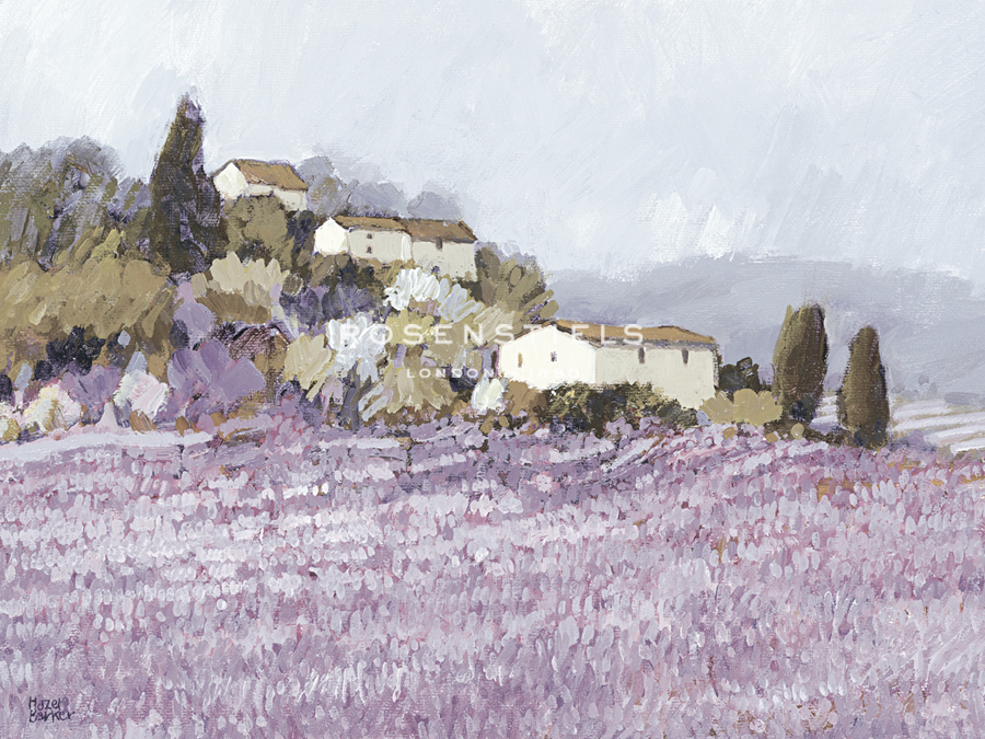 Tranquil Wild Lavender, Provence - Hazel Barker