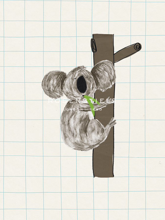 Cute Koala - Lisa Stickley