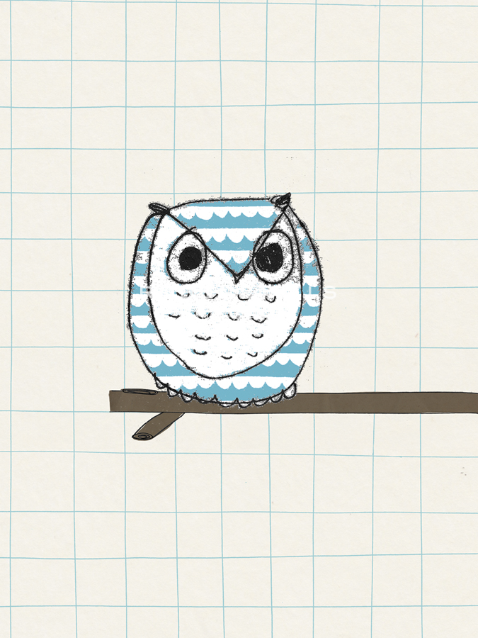 Observant Owl - Lisa Stickley
