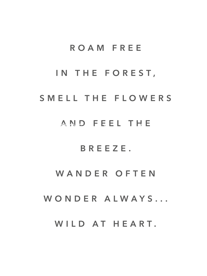 Roam Free - Joni Whyte