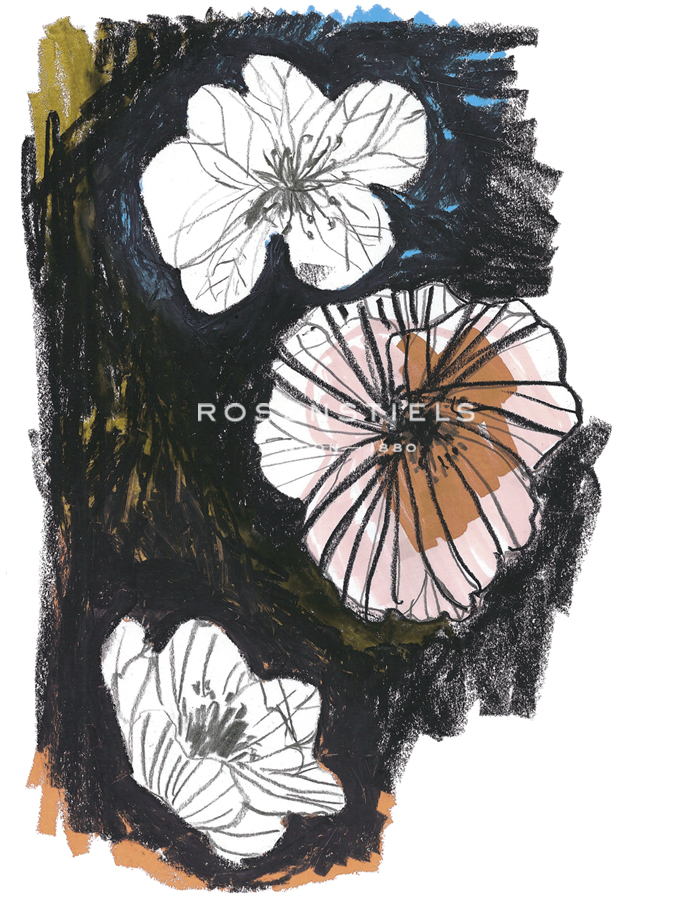 Flowers That Climb - Katrien Soeffers