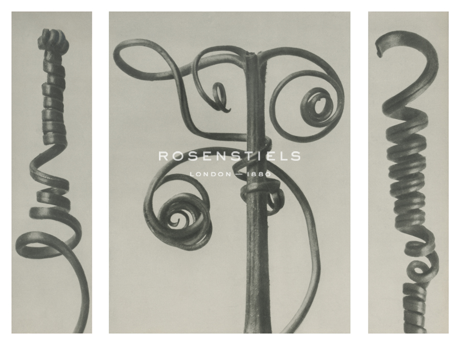 Cucurbita - Karl Blossfeldt