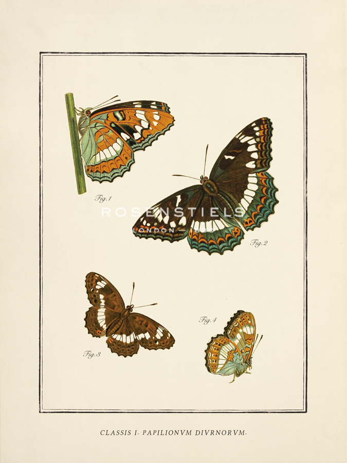 Papilio Collectio - The Vintage Collection