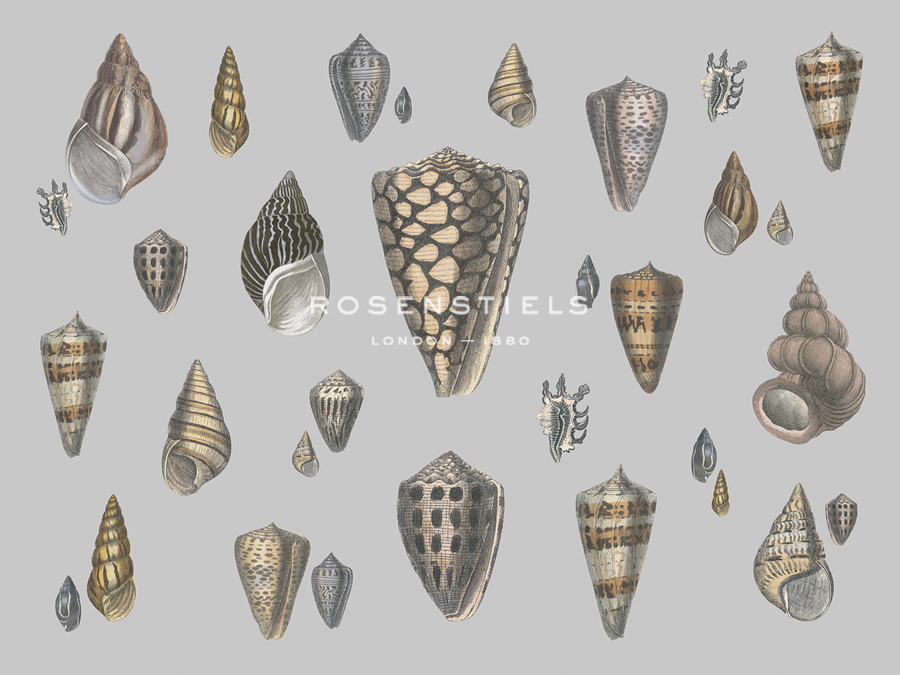 Selection of Shells Compendium - Maria Mendez