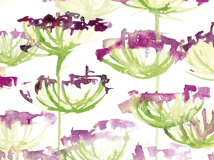 Flower Cups - Sarah Von Dreele
