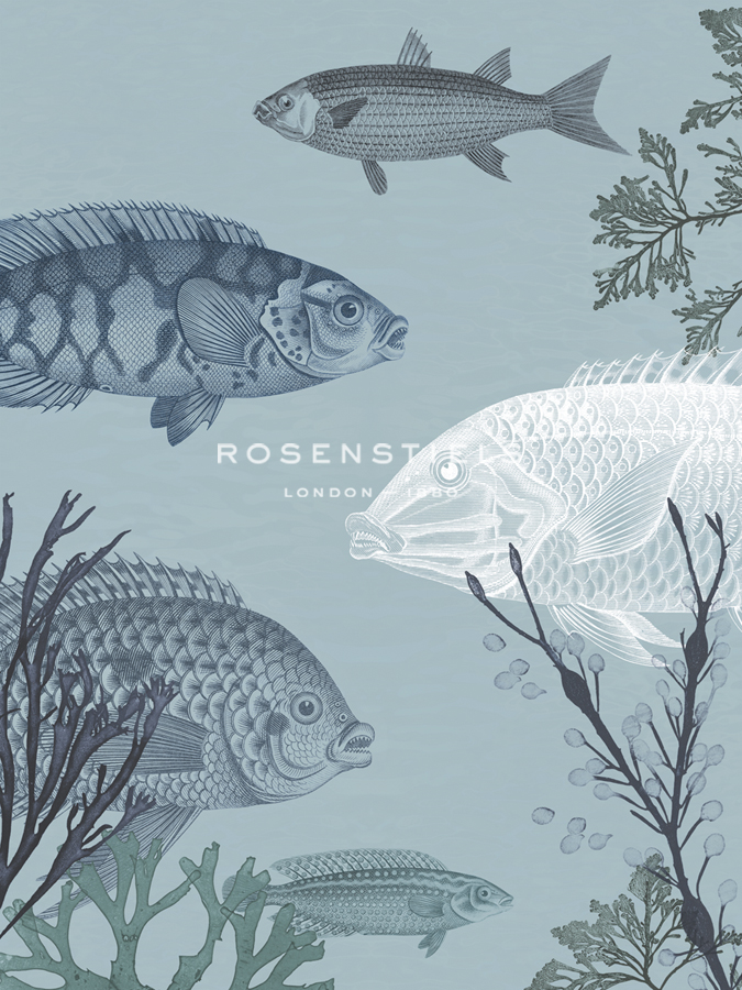 Oceanic Fauna - The Vintage Collection