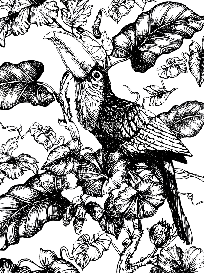 Toco Toucan - Loft Studio