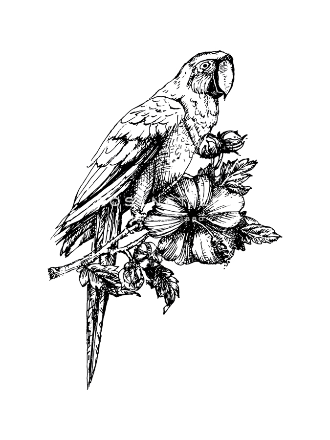 Feathered Bouquet - Loft Studio
