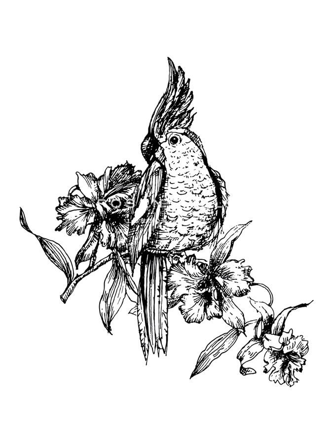 Feathered Corsage - Loft Studio