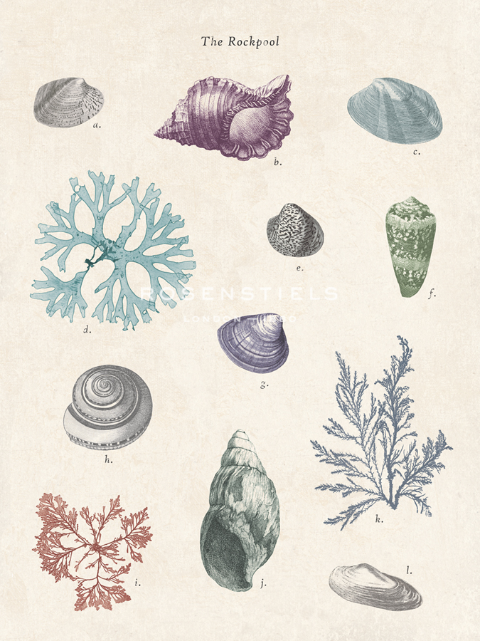 The Rockpool - The Vintage Collection