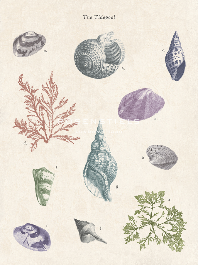 The Tidepool - The Vintage Collection