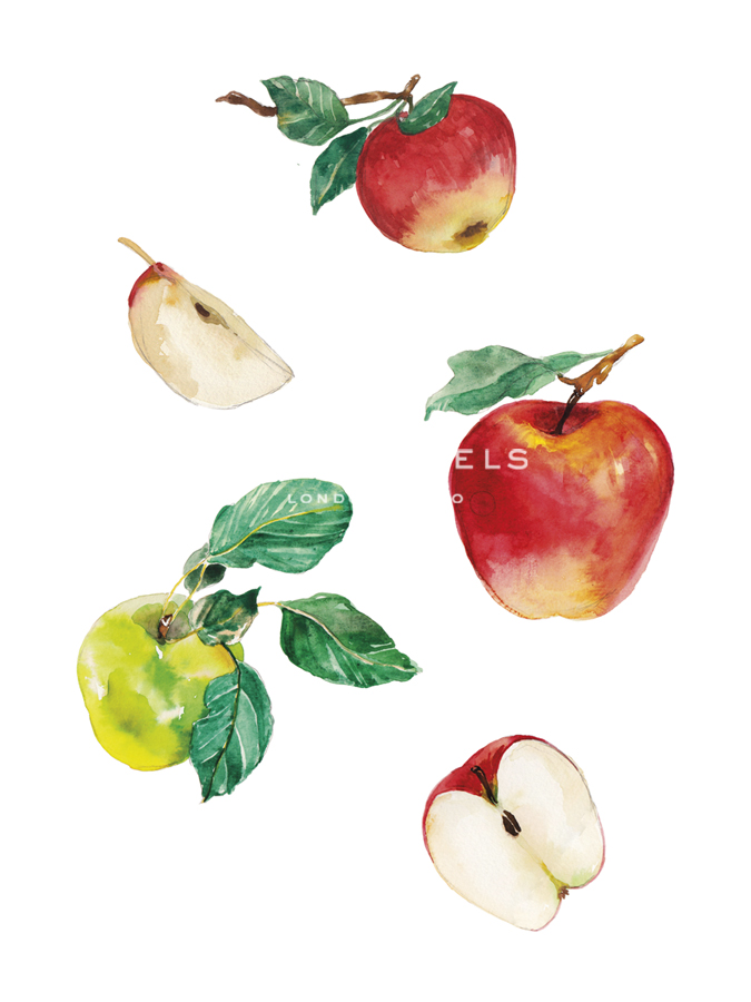 Table Harvest - Apple - Loft Studio