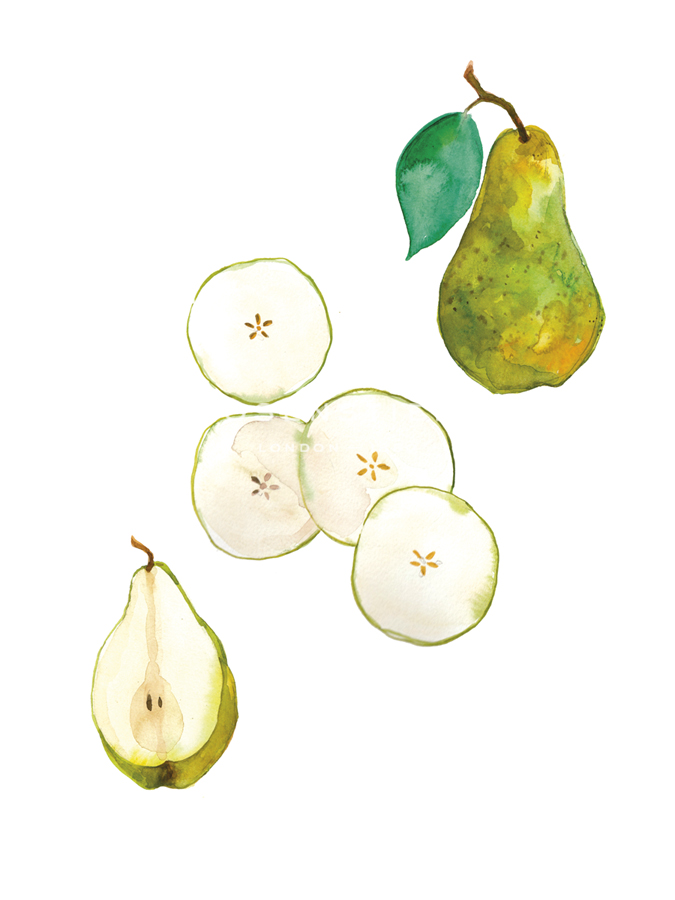 Table Harvest - Pear - Loft Studio
