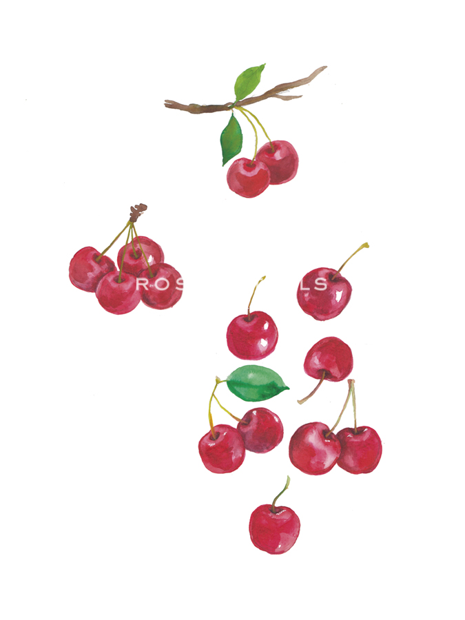 Table Harvest - Cherry - Loft Studio