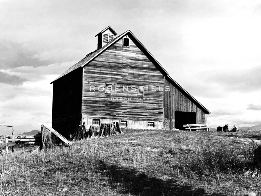 The Barn of an Older Settler - Dorothea Lange