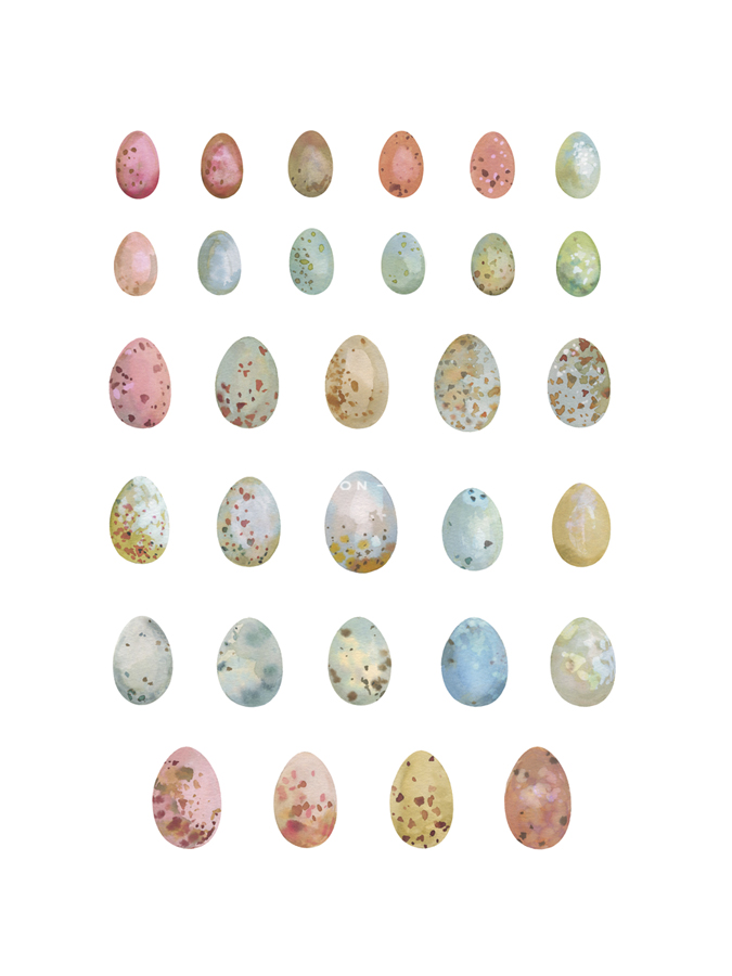 Egg Collection - Sandra Jacobs