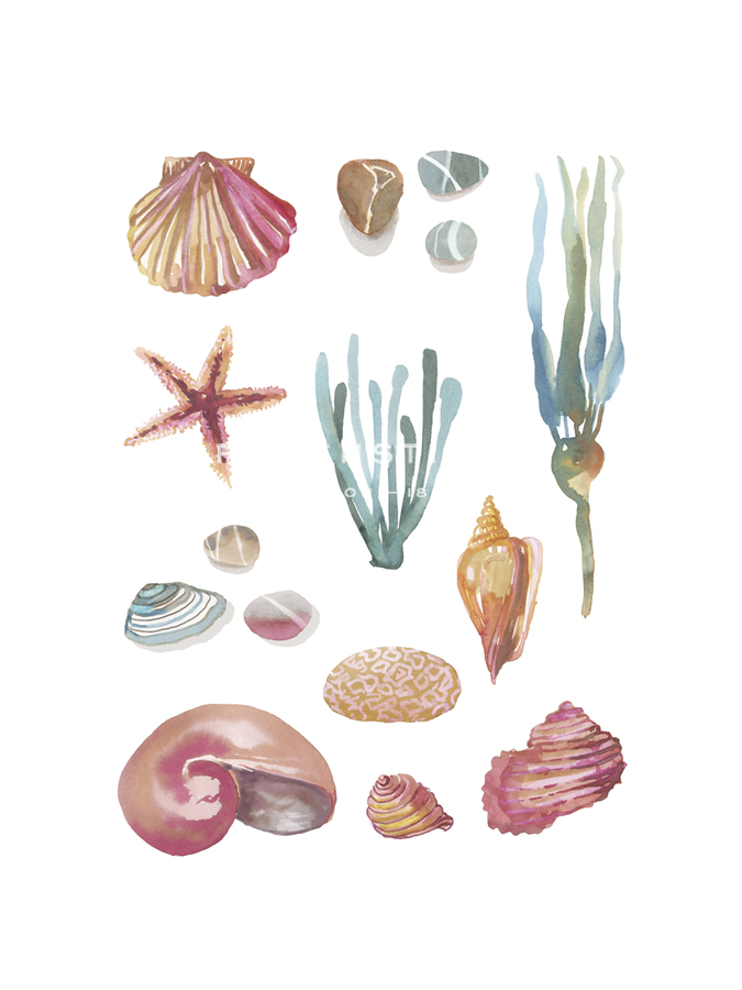 Beach Assortment - Sandra Jacobs